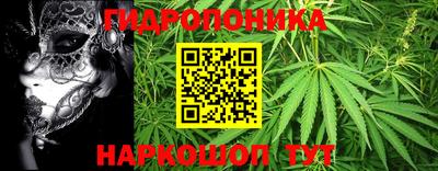 прущие грибы Рузаевка