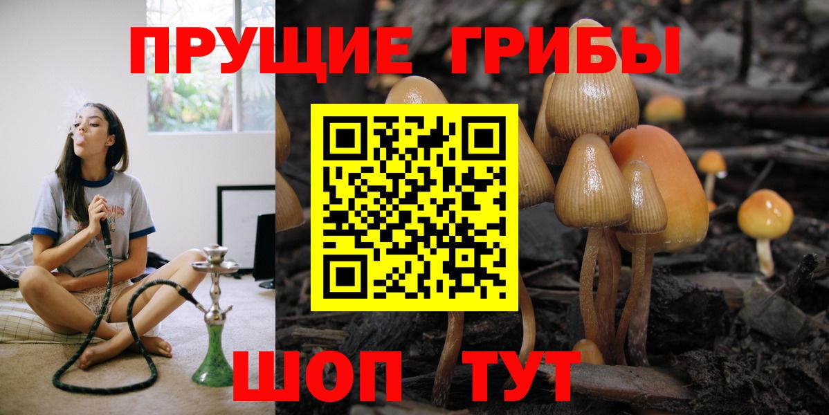Галлюциногенные грибы Psilocybine cubensis  Вход с VPN  Сокол 